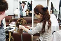 ３０万円相当のヘアメイク＆ヘアセット講習会を無料受講OK♪ 